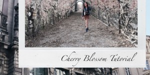 Beitragsbild des Blogbeitrags Cherry Blossom Instagram Tutorial (