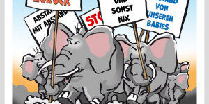 Beitragsbild des Blogbeitrags Cartoon Corona