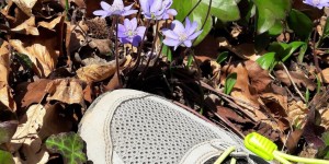 Beitragsbild des Blogbeitrags 5 gute Gründe fürs Laufen im Frühling