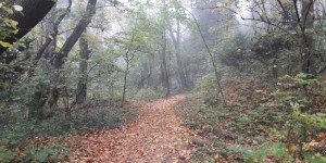 Beitragsbild des Blogbeitrags Laufen bei Regen. Warum Laufen im Herbst dennoch so wichtig ist 