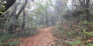 Beitragsbild des Blogbeitrags Laufen bei Regen. Warum Laufen im Herbst dennoch so wichtig ist