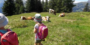 Beitragsbild des Blogbeitrags Kleine Bergführer: Tipps zum Wandern mit Kindern 