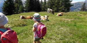 Beitragsbild des Blogbeitrags Kleine Bergführer: Tipps zum Wandern mit Kindern