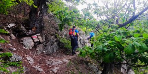 Beitragsbild des Blogbeitrags Am Vogelbergsteig in der Wachau in Dürnstein