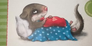 Beitragsbild des Blogbeitrags Der kleine Siebenschläfer