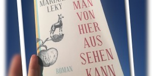 Beitragsbild des Blogbeitrags Was man von hier aus sehen kann