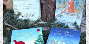 Beitragsbild des Blogbeitrags Nikolaus- & Weihnachtsbuchtipps