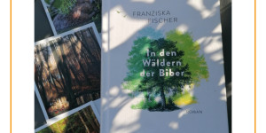 Beitragsbild des Blogbeitrags In den Wäldern der Biber