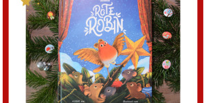 Beitragsbild des Blogbeitrags Rote Robin
