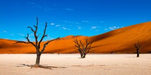 Beitragsbild des Blogbeitrags Namibia – Das Land der roten Stille