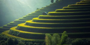 Beitragsbild des Blogbeitrags Zentral- & Nordthailand – Ursprüngliches Asien für Abenteurer