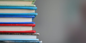 Beitragsbild des Blogbeitrags Neue Rubrik Bücher oder wohin mit dem Pile of Shame?