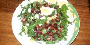 Beitragsbild des Blogbeitrags Röhrlsalat oder auch Löwenzahnsalat 