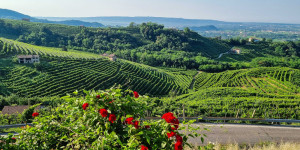 Beitragsbild des Blogbeitrags Municipio 1815 - Valdobbiadene