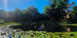 Beitragsbild des Blogbeitrags Relais & Chateaux Taubenkobel und ein Sommerwochenende in Wien