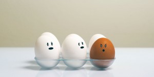 Beitragsbild des Blogbeitrags What is the difference between mobile newsletter services and mobile Apps? 