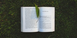 Beitragsbild des Blogbeitrags Machines Beat Humans on a Reading Test. But Do They Understand? | Quanta Magazine