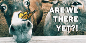 Beitragsbild des Blogbeitrags The Post-App Era: Are we there yet?