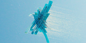 Beitragsbild des Blogbeitrags What is consciousness?
