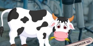 Beitragsbild des Blogbeitrags Gibt eine Kuh eigentlich immer Milch?