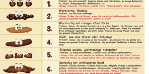Beitragsbild des Blogbeitrags Bristol Stool Chart – Wie man richtig kackt