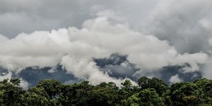 Beitragsbild des Blogbeitrags Interview: CO2 Kompensation bei ASI Reisen