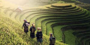 Beitragsbild des Blogbeitrags Reisebericht: durch Vietnam & Kambodscha