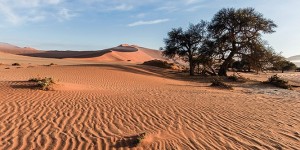 Beitragsbild des Blogbeitrags Top 8 Sehenswürdigkeiten in Namibia