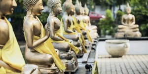 Beitragsbild des Blogbeitrags Top 9 Sehenswürdigkeiten in Colombo