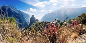 Beitragsbild des Blogbeitrags Wandern auf Teneriffa: 7 Tipps für deine Aktivreise 