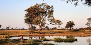 Beitragsbild des Blogbeitrags Top 7 Sehenswürdigkeiten in Simbabwe