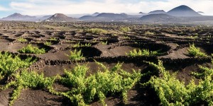 Beitragsbild des Blogbeitrags 7 Tipps zum Wandern auf Lanzarote