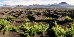 Beitragsbild des Blogbeitrags 7 Tipps zum Wandern auf Lanzarote 