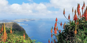 Beitragsbild des Blogbeitrags So war meine Madeira Reise in Zeiten von Corona