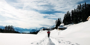 Beitragsbild des Blogbeitrags Winter- oder Schneeschuhwandern: Was passt zu mir? 
