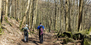 Beitragsbild des Blogbeitrags Rheinsteig: 4 Tipps für ein aktives Erlebnis 