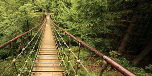 Beitragsbild des Blogbeitrags 3 Highlights & Geheimtipps am Rothaarsteig