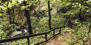 Beitragsbild des Blogbeitrags Die 7 schönsten Plätze am Rothaarsteig