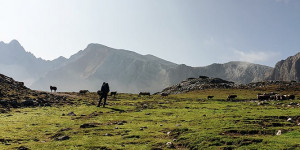 Beitragsbild des Blogbeitrags Wanderurlaub in Tirol oder Südtirol? 