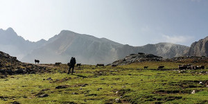 Beitragsbild des Blogbeitrags Wanderurlaub in Tirol oder Südtirol?