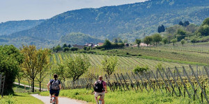 Beitragsbild des Blogbeitrags Was sind Fernradwege? Routen & Infos
