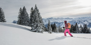 Beitragsbild des Blogbeitrags Top 3 Regionen für Schneeschuhwandern in Österreich 