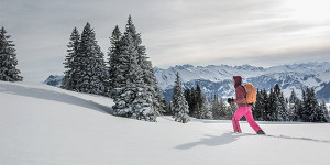 Beitragsbild des Blogbeitrags Top 3 Regionen für Schneeschuhwandern in Österreich