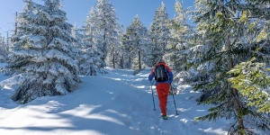 Beitragsbild des Blogbeitrags Die optimale Zeit fürs Schneeschuhwandern