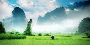 Beitragsbild des Blogbeitrags Tipps zur besten Reisezeit in Vietnam 