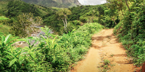 Beitragsbild des Blogbeitrags Beste Reisezeit für Madagaskar: Tipps & Infos