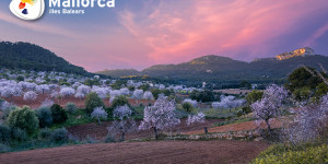 Beitragsbild des Blogbeitrags 5 Gründe Mallorca im Winter zu bereisen