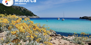 Beitragsbild des Blogbeitrags Die 7 schönsten Strände auf Mallorca 