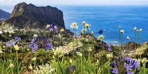 Beitragsbild des Blogbeitrags Beste Reisezeit für Madeira: 4 Tipps & Infos
