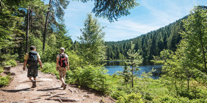 Beitragsbild des Blogbeitrags Wandern im Schwarzwald: 7 Routen und Tipps
